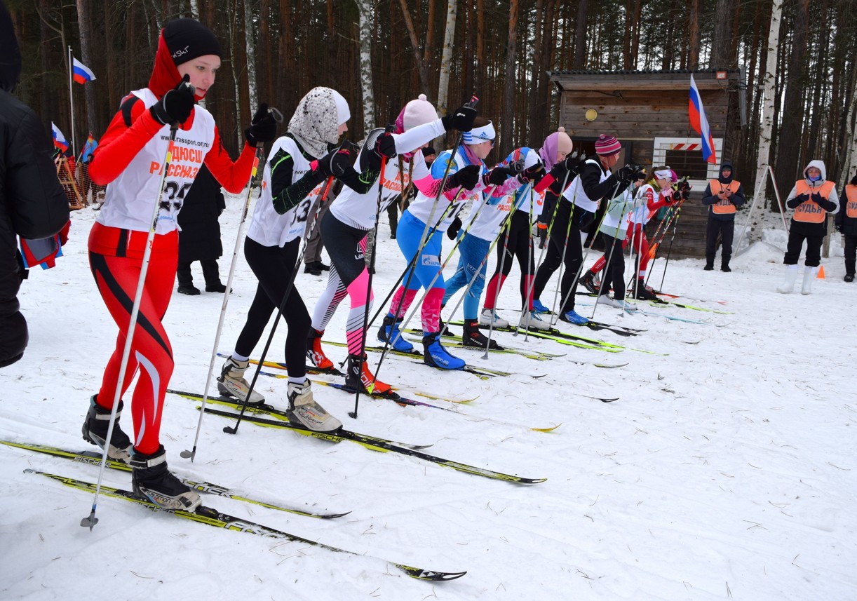 Снимок экрана 2026 02 24 121456