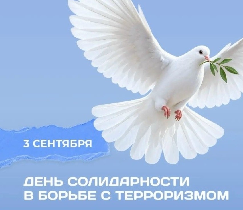 Снимок экрана 2026 09 04 151022